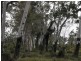2337 Woodstock Giru Road, Majors Creek QLD 4816