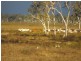 2337 Woodstock Giru Road, Majors Creek QLD 4816
