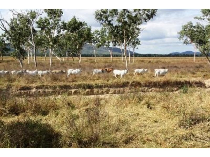 2337  Woodstock Giru Road, Majors Creek QLD 4816