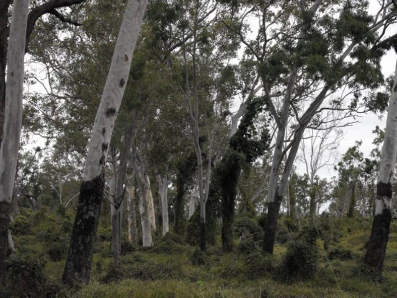 2337  Woodstock Giru Road, Majors Creek QLD 4816