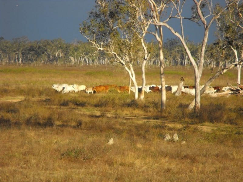 2337  Woodstock Giru Road, Majors Creek QLD 4816