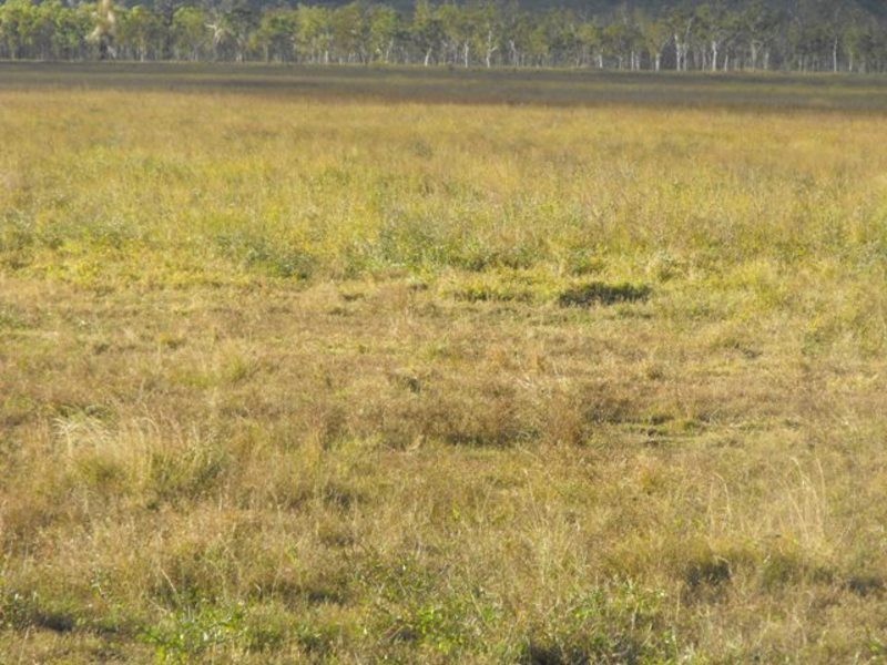 2337  Woodstock Giru Road, Majors Creek QLD 4816