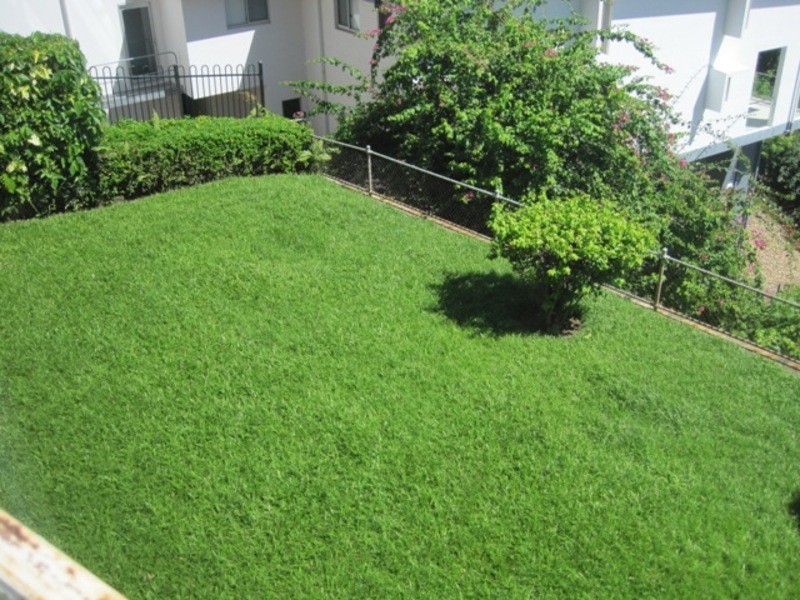 2/23A Cleveland Terrace, North Ward QLD 4810