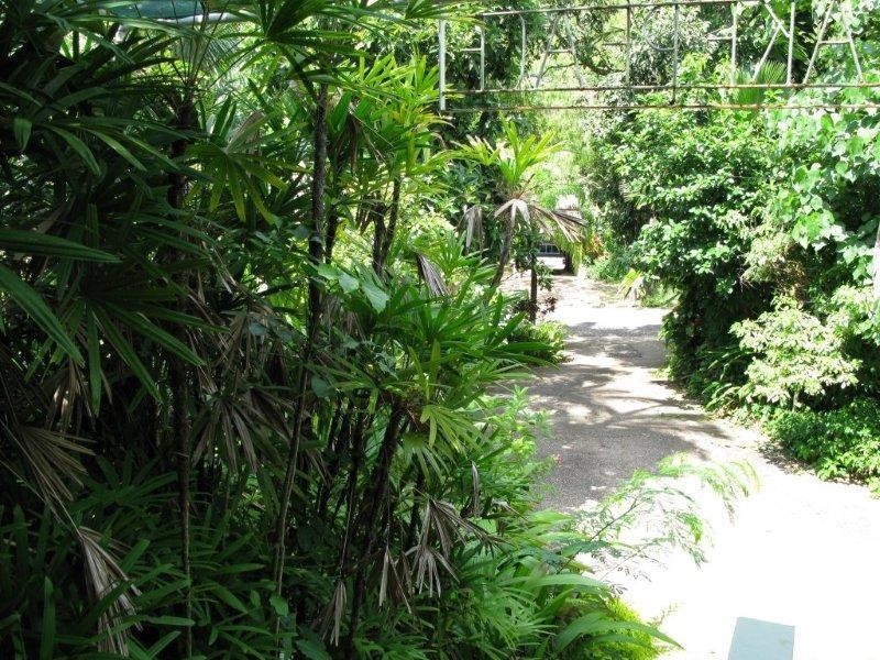 7 Mirabel Avenue, Magnetic Island QLD 4819