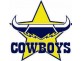 Kirwan QLD 4817