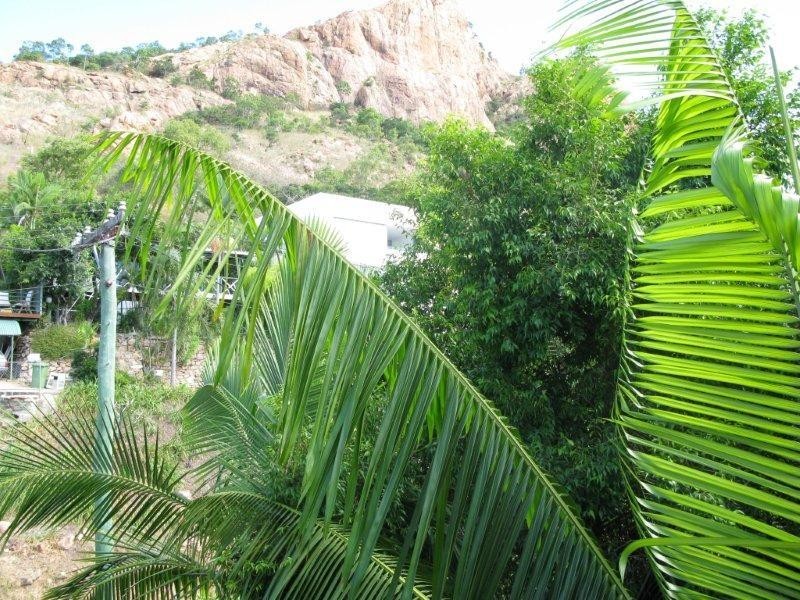 9/17 Stanton Terrace, North Ward QLD 4810