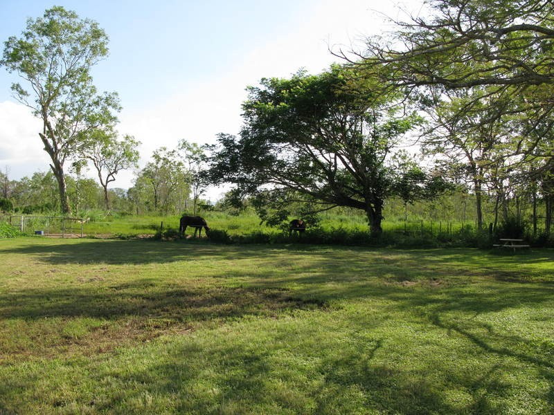 112 Toscavale Road, Black River QLD 4818