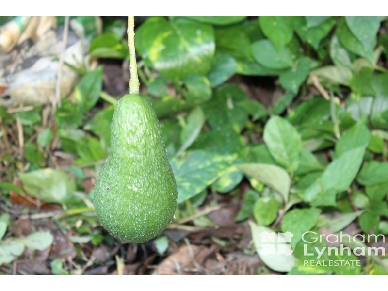 Townsville City QLD 4810