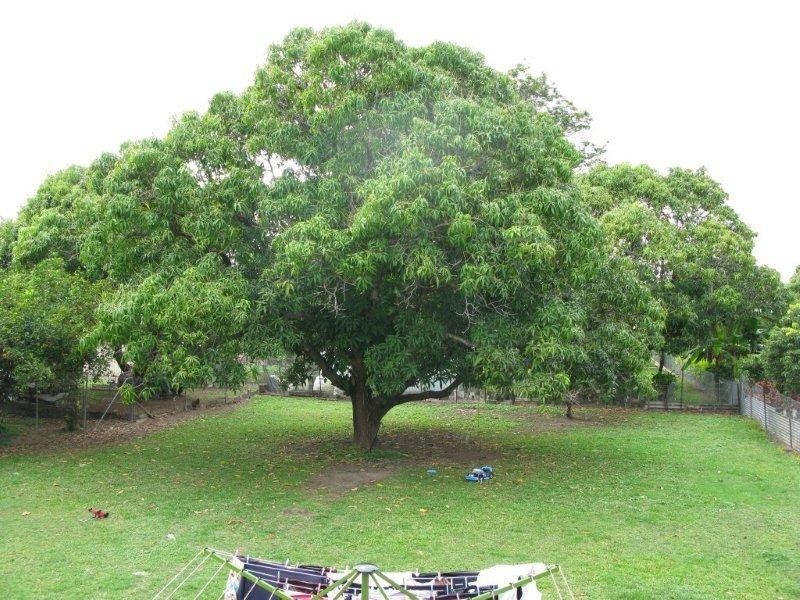 22 Beatrice Street, Aitkenvale QLD 4814