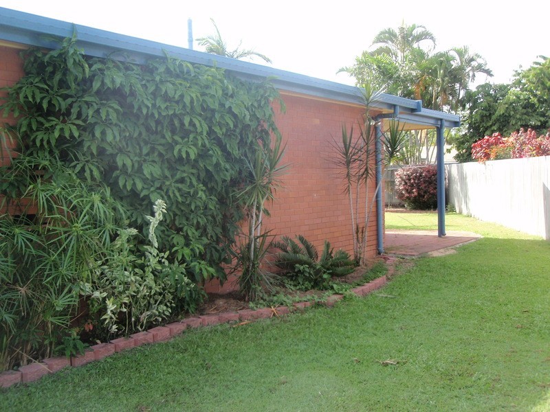 13 Sauter Street, Heatley QLD 4814