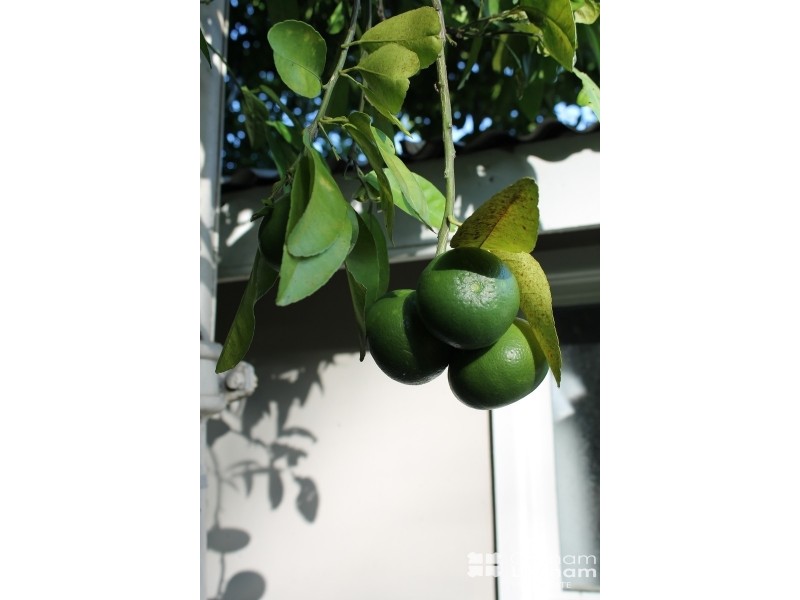 Townsville City QLD 4810