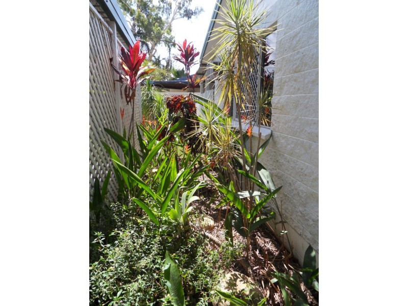 13 Shirleen Crescent, Condon QLD 4815