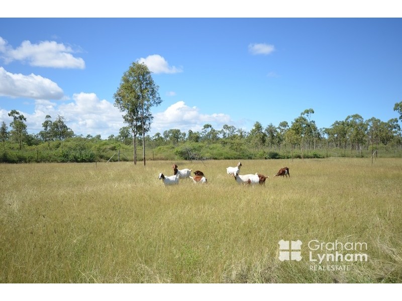 12 Slayton Road, Jensen QLD 4818