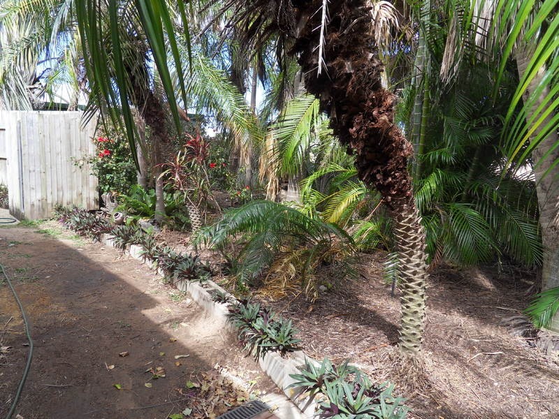 18 Alfred Street, Aitkenvale QLD 4814