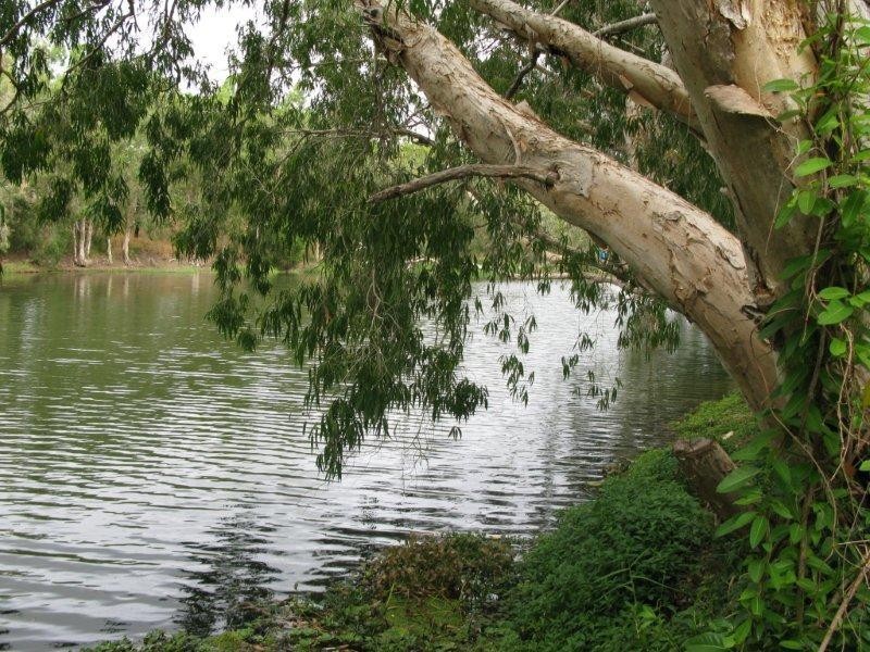 39 Framara Drive, Kelso QLD 4815