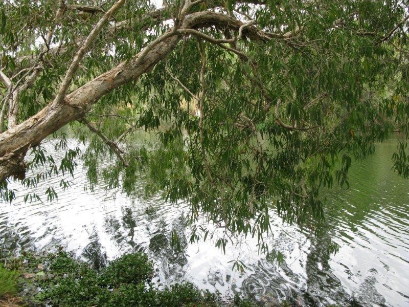 39 Framara Drive, Kelso QLD 4815