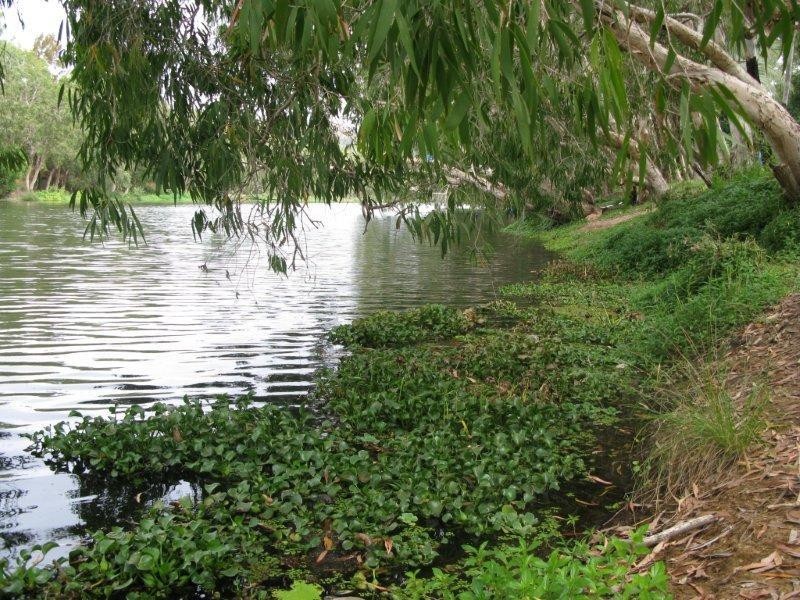 39 Framara Drive, Kelso QLD 4815