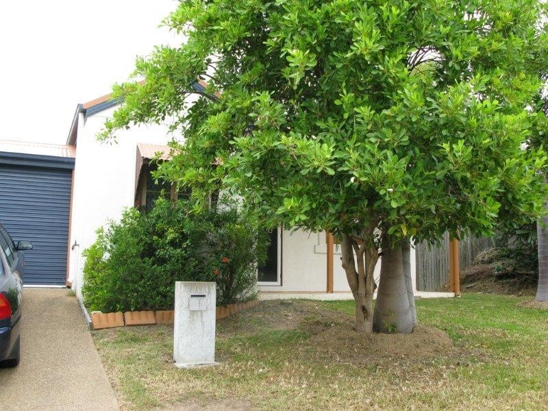 12 Boxwood Street, Douglas QLD 4814