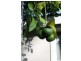 18 Blackwood Street, Townsville City QLD 4810