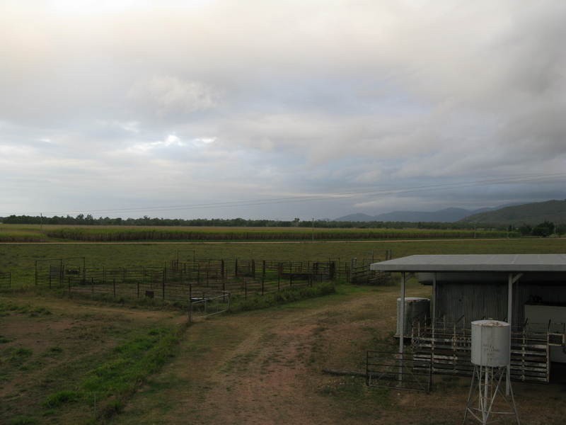 7 Suthers Road, Mutarnee QLD 4816