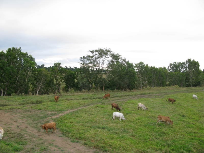 7 Suthers Road, Mutarnee QLD 4816