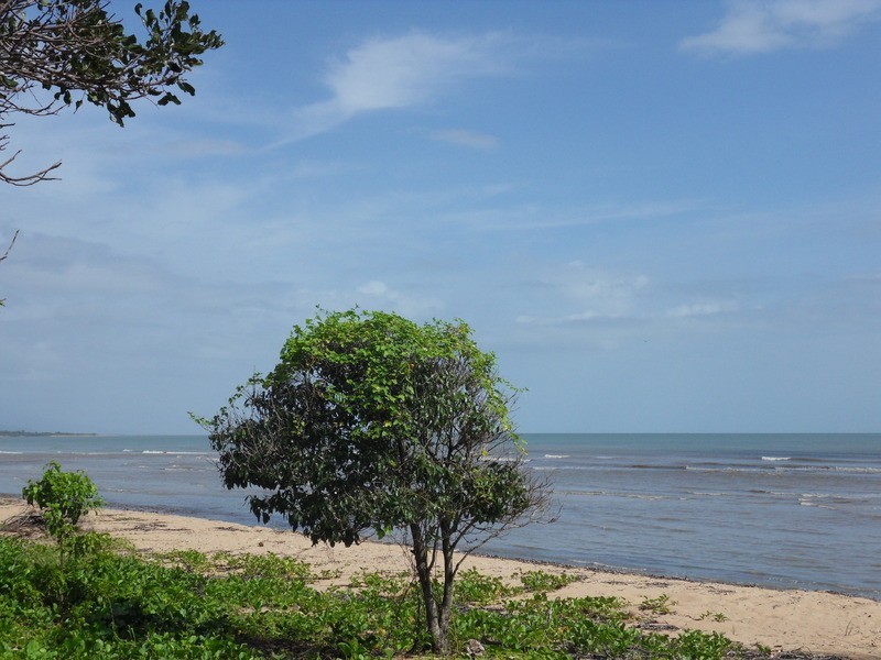 110 The Esplanade, Toolakea QLD 4818