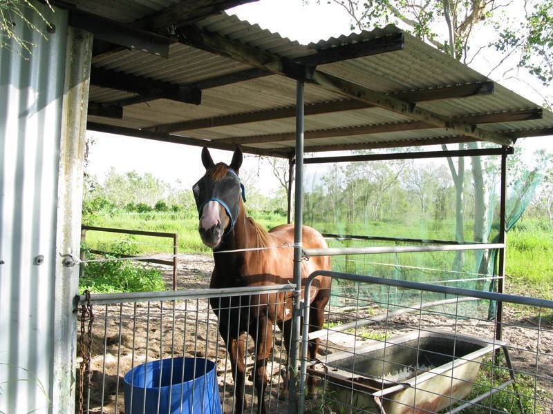 112 Toscavale Road, Black River QLD 4818