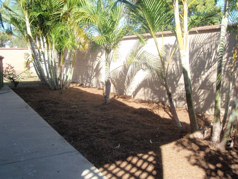 3/35 Punari Street, Currajong QLD 4812