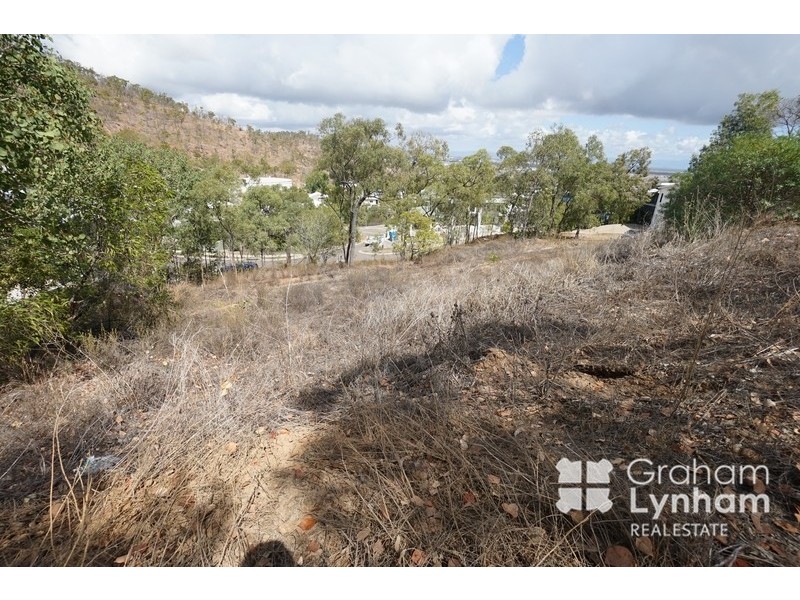 64 Yarrawonga Drive, Castle Hill QLD 4810