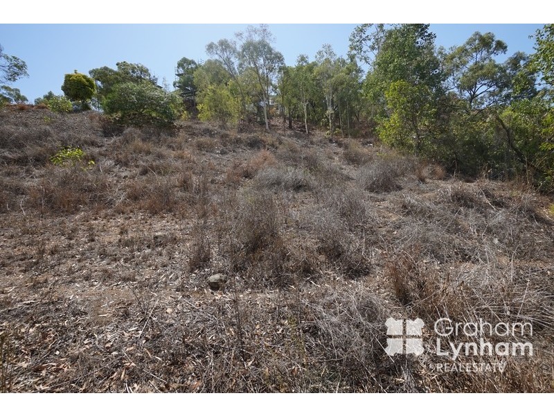 64 Yarrawonga Drive, Castle Hill QLD 4810