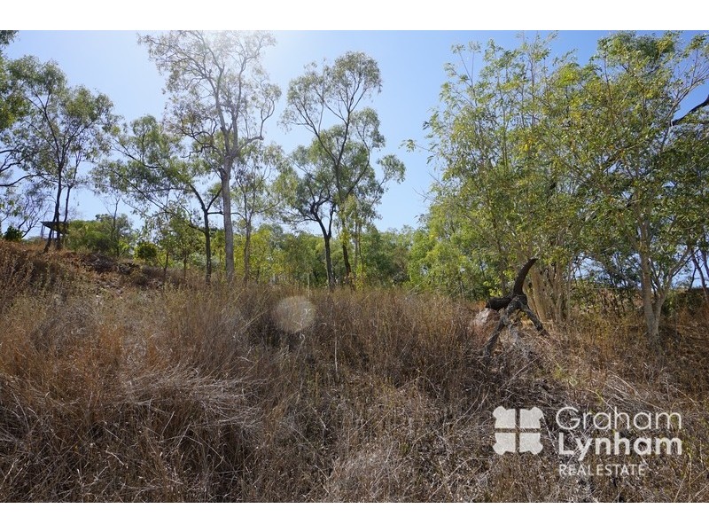 64 Yarrawonga Drive, Castle Hill QLD 4810