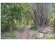 1 Romsey Court, Alice River QLD 4817