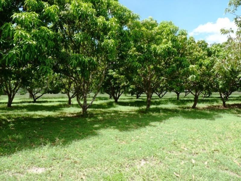 45 Williams Road, Alligator Creek QLD 4816