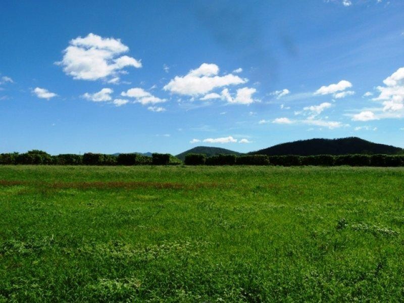 Colwell Court, Alligator Creek QLD 4816