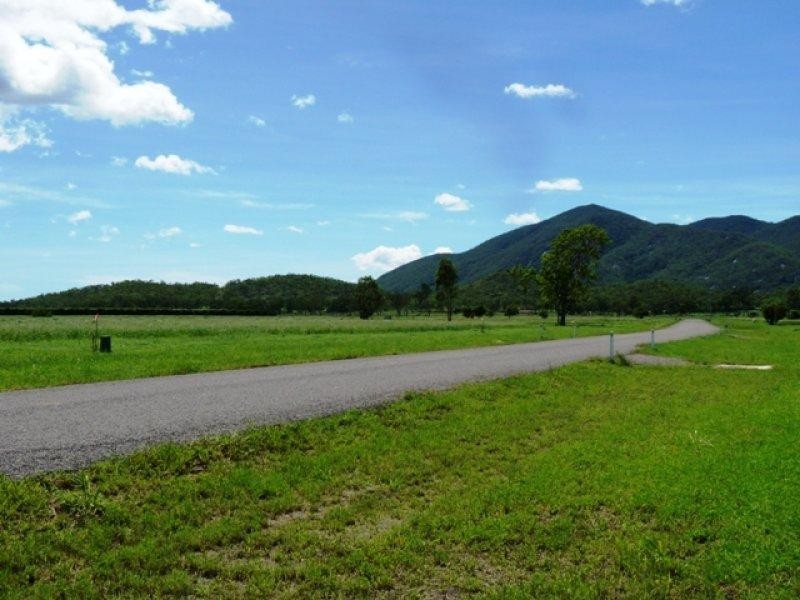 Colwell Court, Alligator Creek QLD 4816