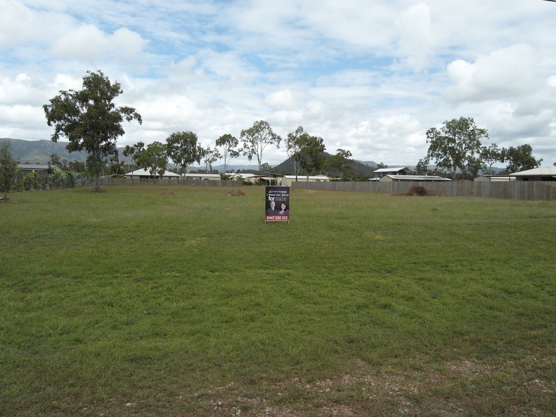 11 Therese Court, Rupertswood QLD 4817