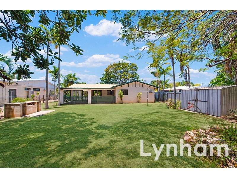14 Diamantina Street, Wulguru QLD 4811