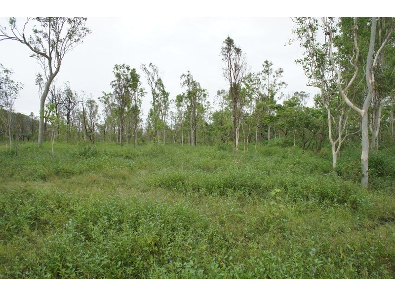 112 Toscavale Road, Black River QLD 4818