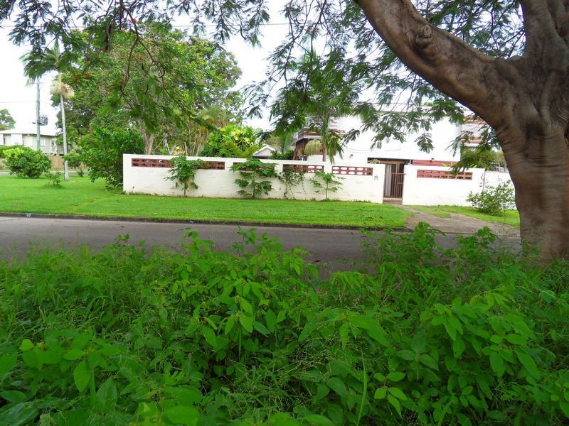 16 Briarfield Street, Mundingburra QLD 4812