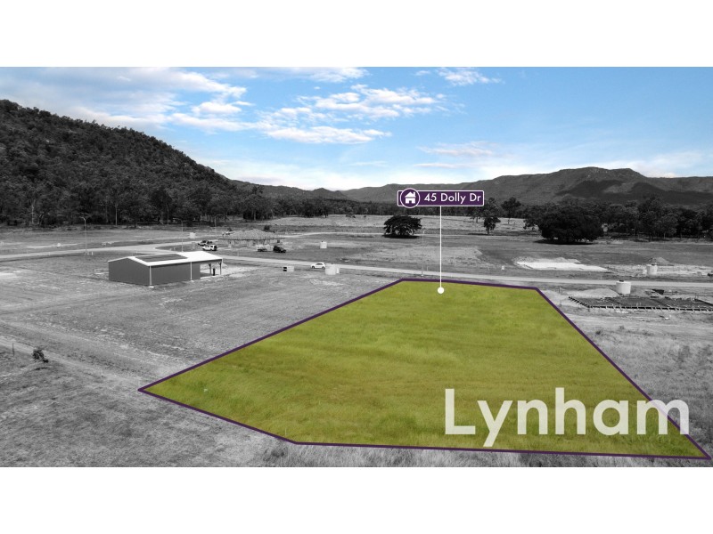 45 Dolly Drive, Alice River QLD 4817