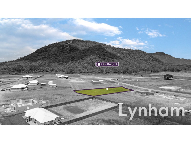 45 Dolly Drive, Alice River QLD 4817