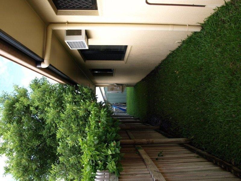 11 Torenia Close, Kirwan QLD 4817