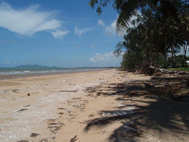51 Cay Street, Saunders Beach QLD 4818