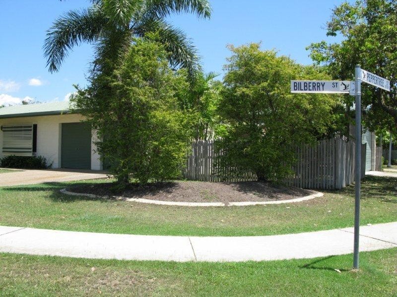 15 Bilberry Street, Kirwan QLD 4817