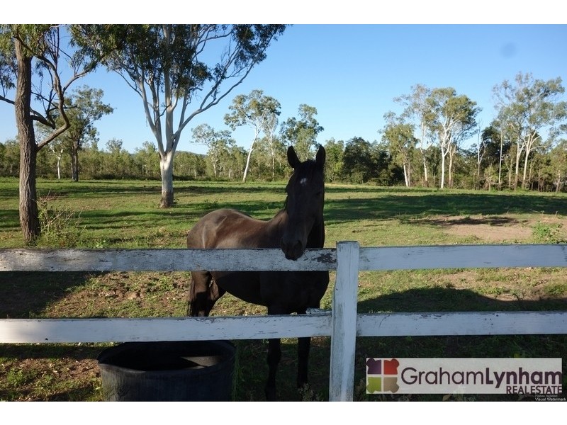 198 Elliott Road, Hervey Range QLD 4817