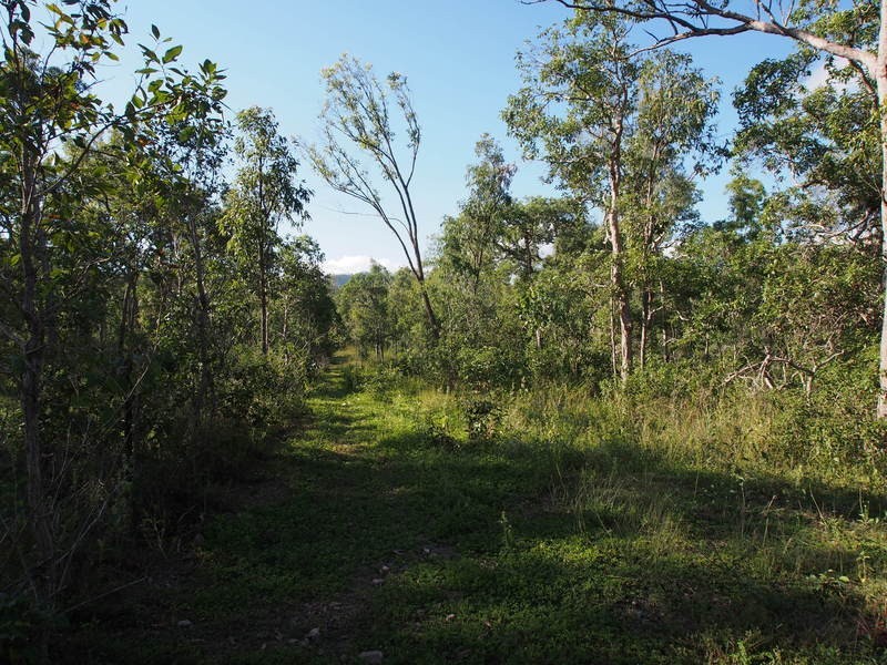 18 Tabletop Road, Hervey Range QLD 4817