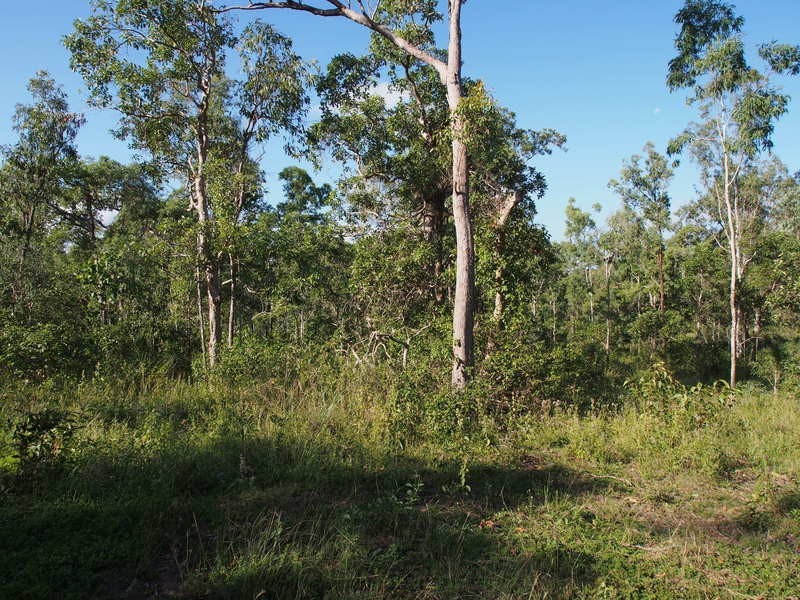 18 Tabletop Road, Hervey Range QLD 4817