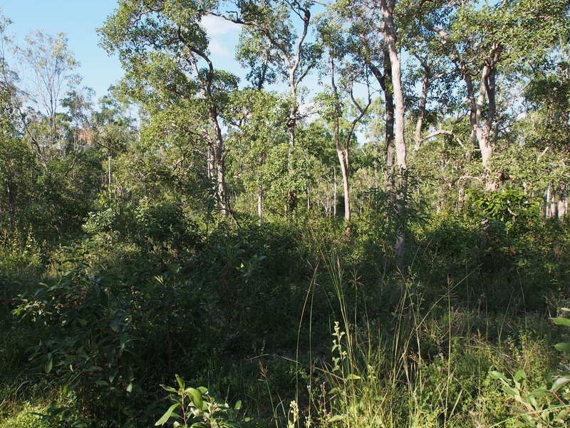 18 Tabletop Road, Hervey Range QLD 4817