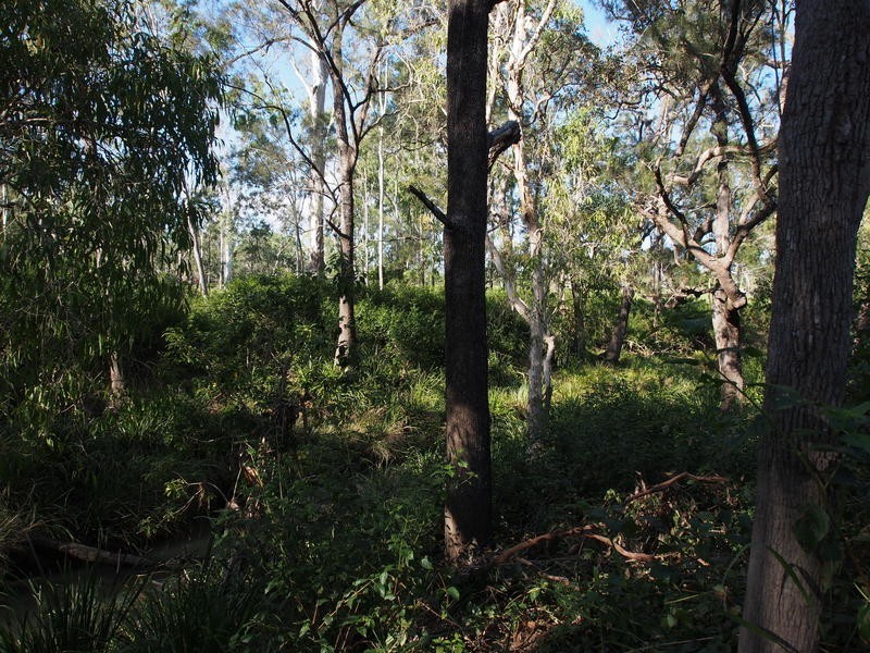 18 Tabletop Road, Hervey Range QLD 4817