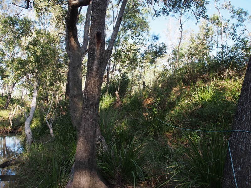 18 Tabletop Road, Hervey Range QLD 4817